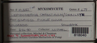 Image Associated With the Occurence
